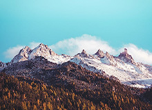 打捞出的地精大富翁飞行器